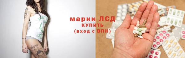 гидра Арсеньев