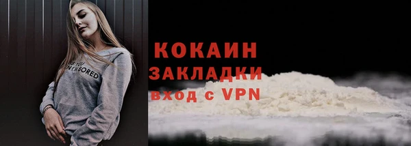 гидра Арсеньев