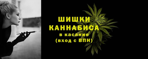 гидра Арсеньев