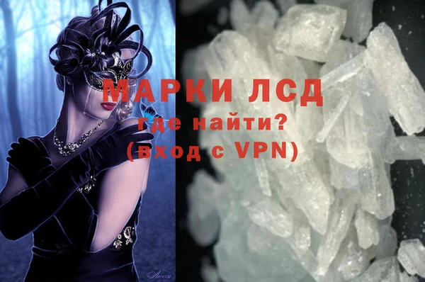 ГАЛЛЮЦИНОГЕННЫЕ ГРИБЫ Аркадак