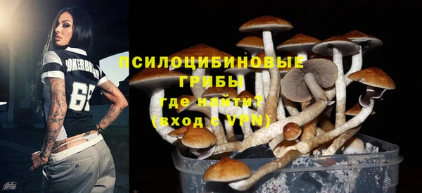 гидра Арсеньев