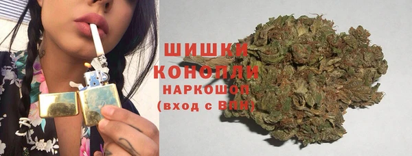ГАЛЛЮЦИНОГЕННЫЕ ГРИБЫ Аркадак