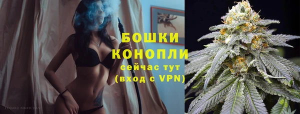 ГАЛЛЮЦИНОГЕННЫЕ ГРИБЫ Аркадак