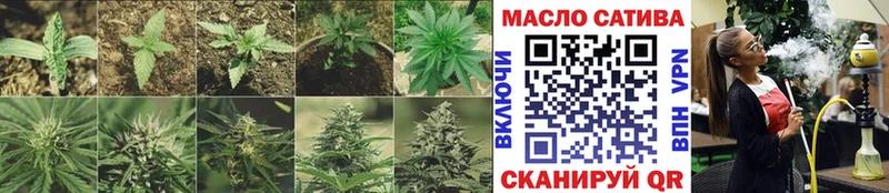 OMG   Луга  ТГК THC oil 